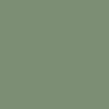 Kolor : CACTUS GREEN